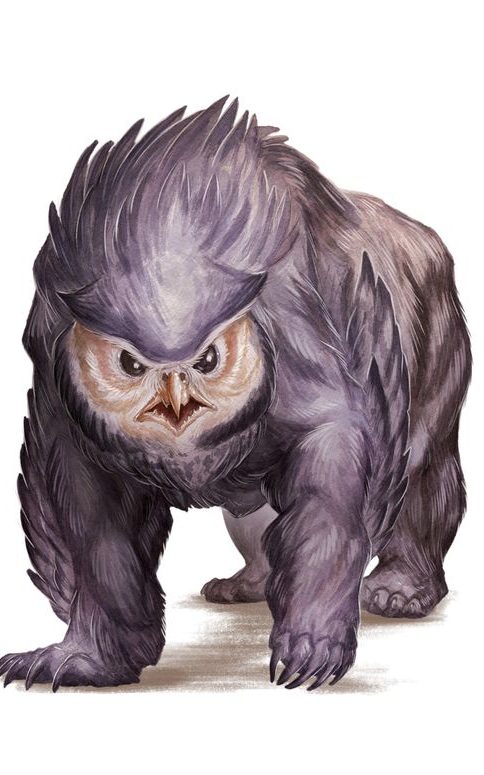 dungeons and dragons ours-hibou